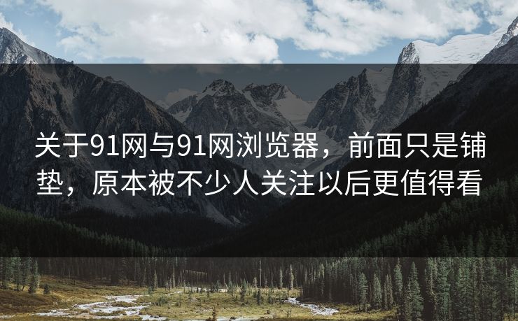 关于91网与91网浏览器，前面只是铺垫，原本被不少人关注以后更值得看