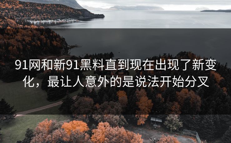 91网和新91黑料直到现在出现了新变化，最让人意外的是说法开始分叉