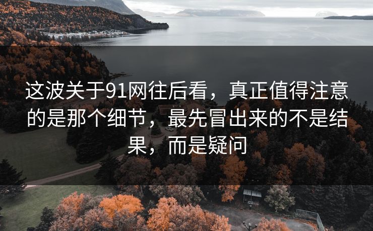 这波关于91网往后看，真正值得注意的是那个细节，最先冒出来的不是结果，而是疑问