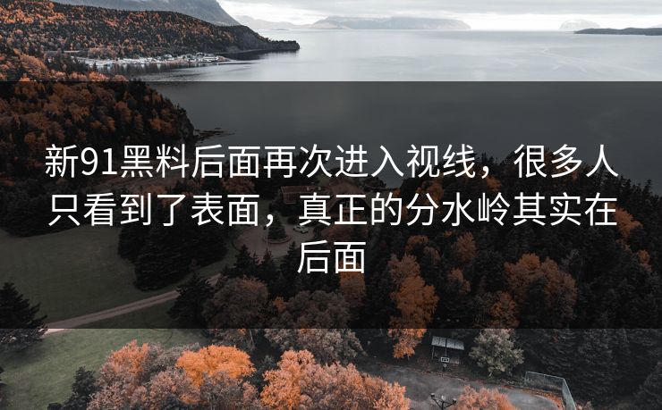 新91黑料后面再次进入视线,很多人只看到了表面,真正的分水岭其实在后面 新91黑料后面再次进入视线,很多人只看到了表面,真正的分水岭其实在后面