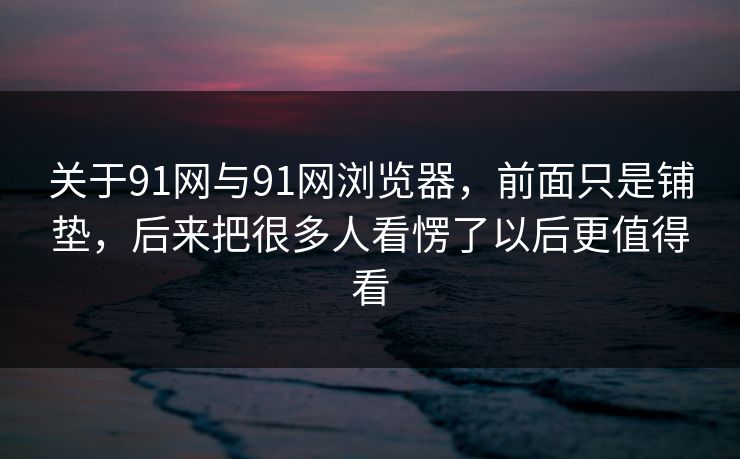 关于91网与91网浏览器，前面只是铺垫，后来把很多人看愣了以后更值得看